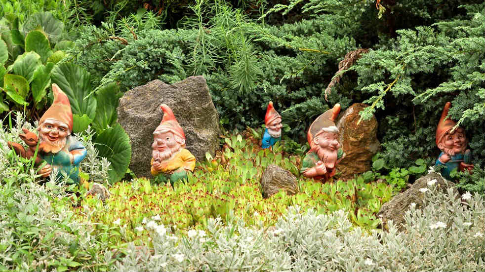 garden gnome